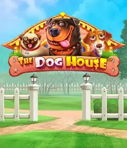 Experience Pragmatic Play's The Dog House adventure, featuring a delightful journey into the world of charming canines. Enjoy features including free spins, designed for delivering exciting wins. Perfect for pet lovers an amusing setting alongside lucrative rewards.